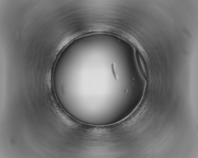 X0000112060842200908181156