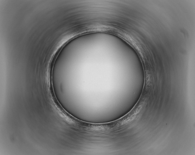 X0000112060843200908181156