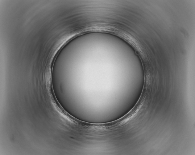 X0000112060844200908181156