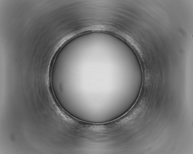 X0000112060845200908181156