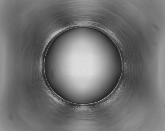 X0000112060846200908181156