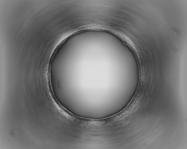 X0000112060847200908181156