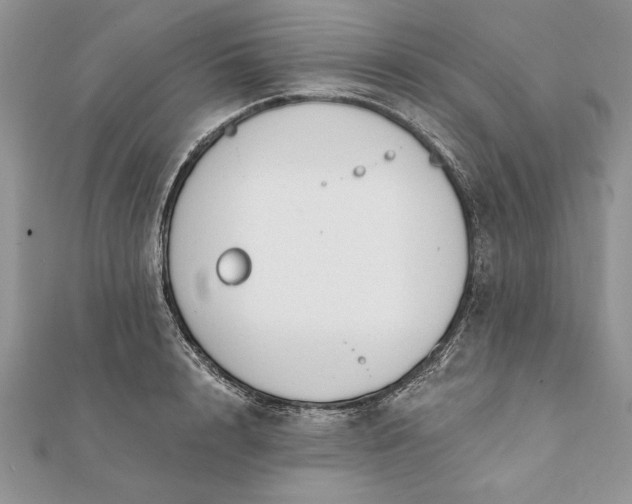 X0000112060848200908181156