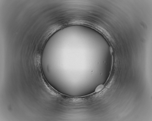 X0000112060849200908181156