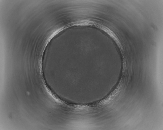 X0000112060850200908181156