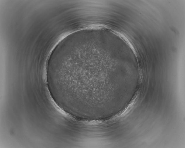 X0000112060851200908181156