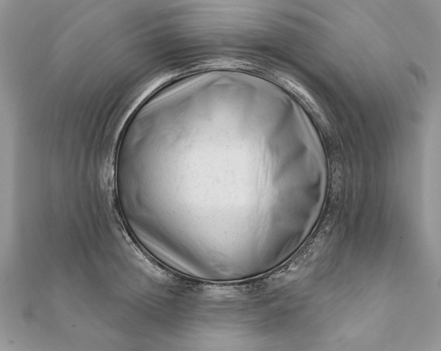 X0000112060852200908181156