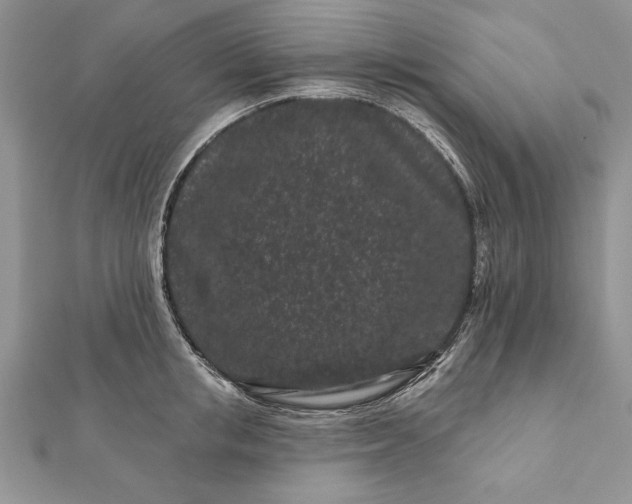 X0000112060853200908181156