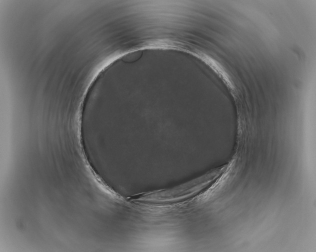 X0000112060854200908181156