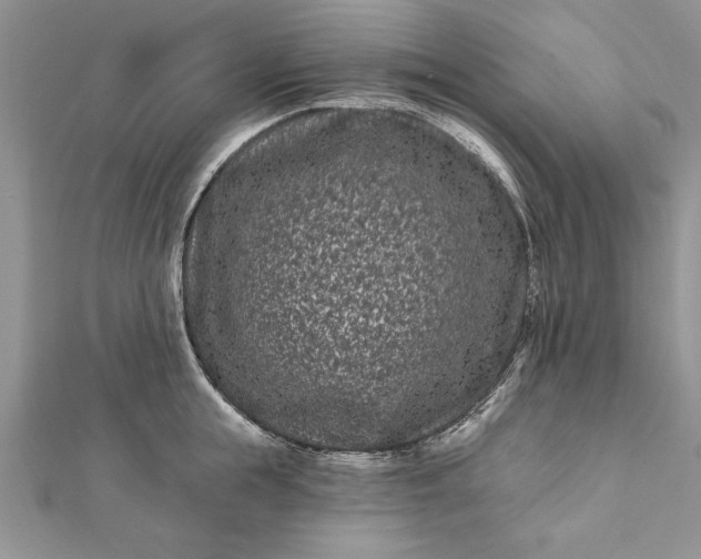 X0000112060855200908181156