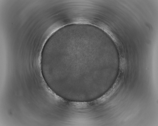 X0000112060856200908181156