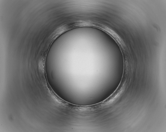 X0000112060857200908181156