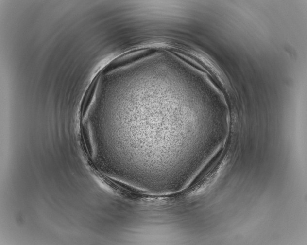 X0000112060858200908181156