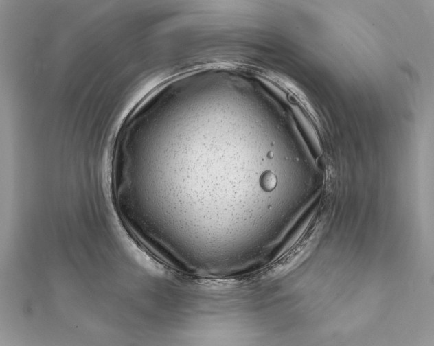 X0000112060859200908181156