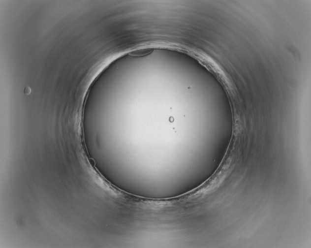 X0000112060860200908181156