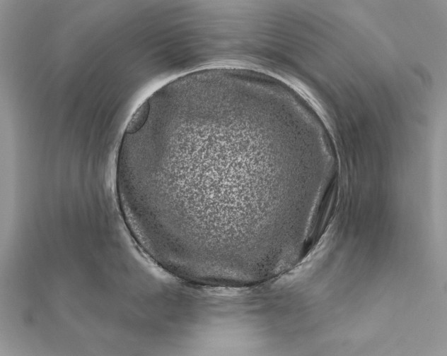 X0000112060862200908181156