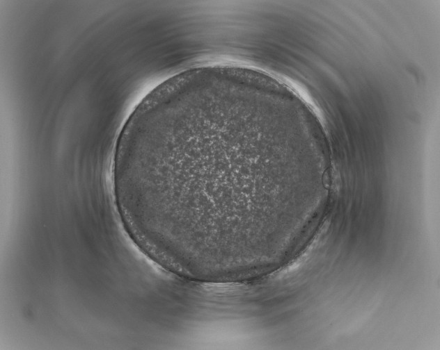 X0000112060863200908181156