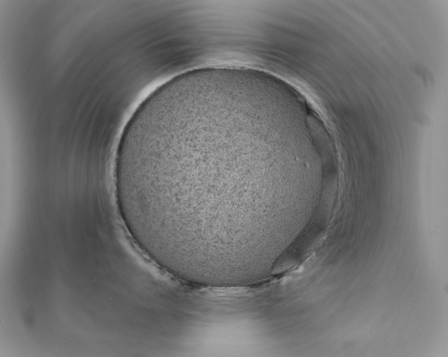 X0000112060864200908181156