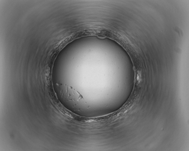 X0000112060867200908181156