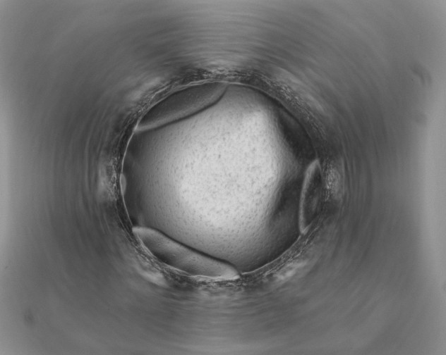 X0000112060868200908181156