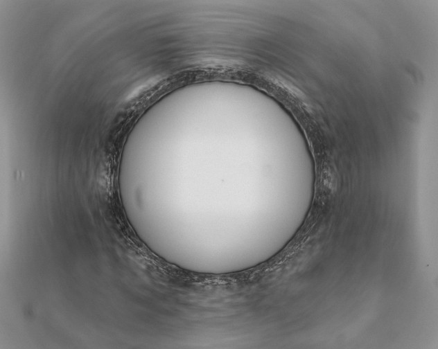 X0000112060869200908181155