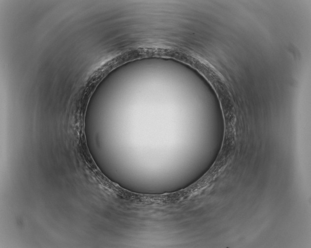 X0000112060870200908181155