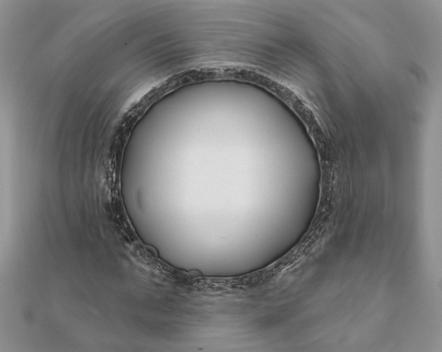 X0000112060871200908181155