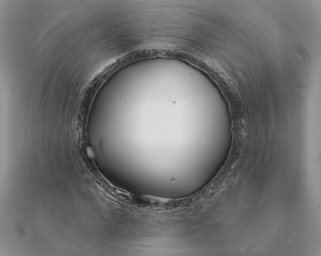 X0000112060872200908181155