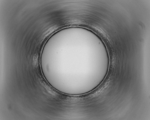 X0000112060873200908181155