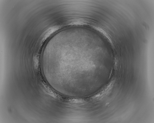 X0000112060874200908181155