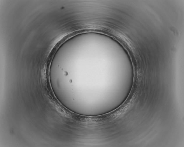 X0000112060875200908181155