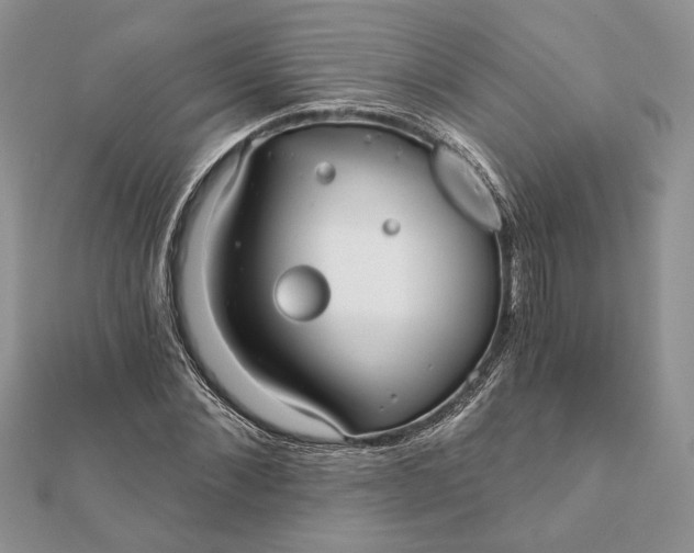 X0000112060876200908181155