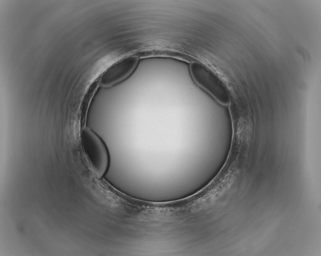 X0000112060877200908181155