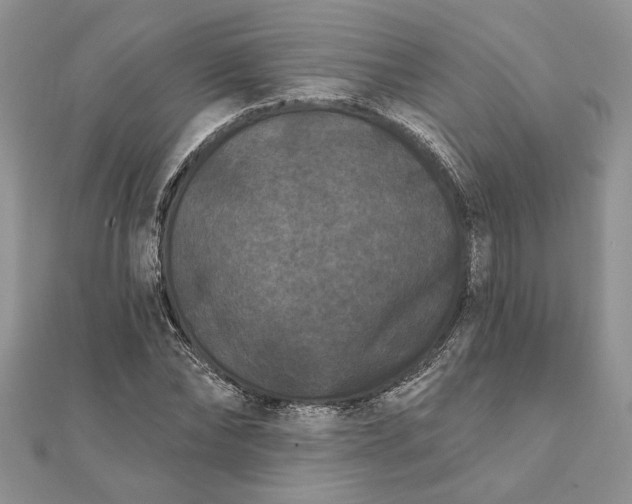 X0000112060878200908181155