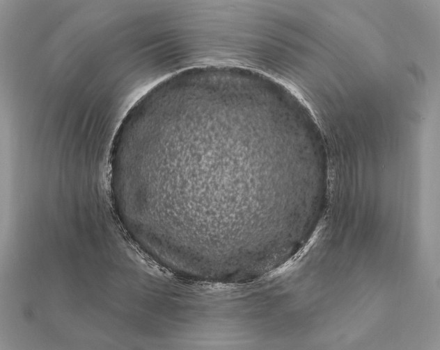 X0000112060879200908181155