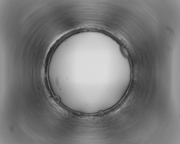 X0000112060880200908181155