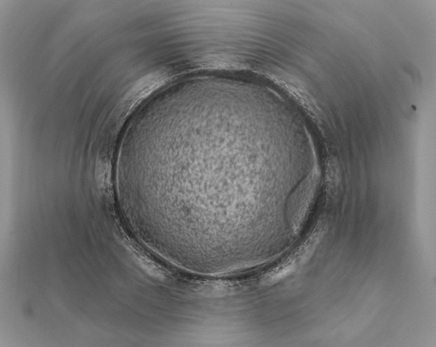 X0000112060881200908181155