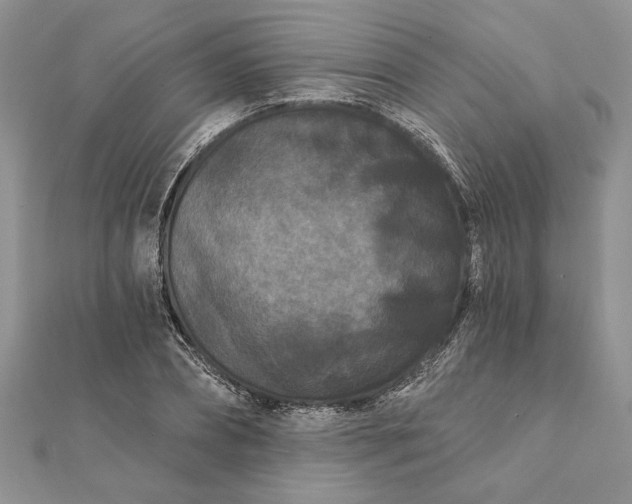 X0000112060882200908181155