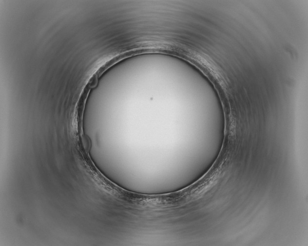 X0000112060883200908181155