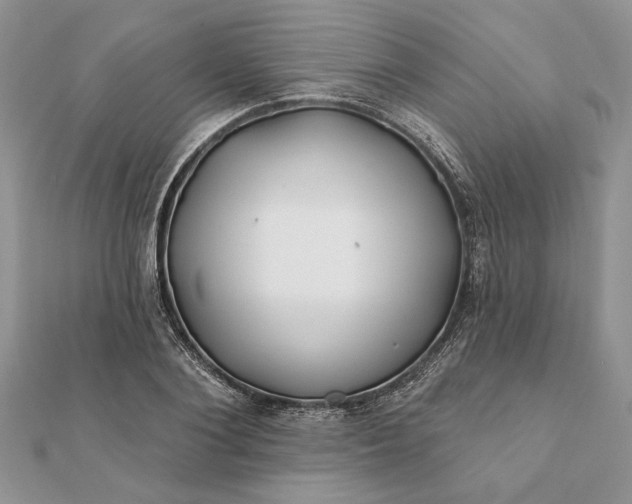 X0000112060884200908181155