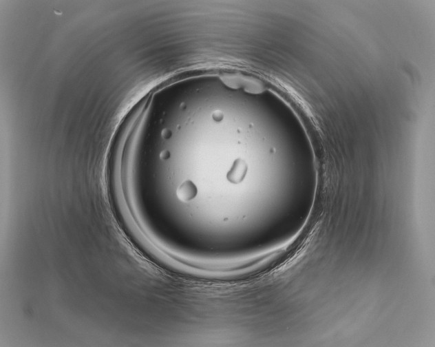 X0000112060885200908181155