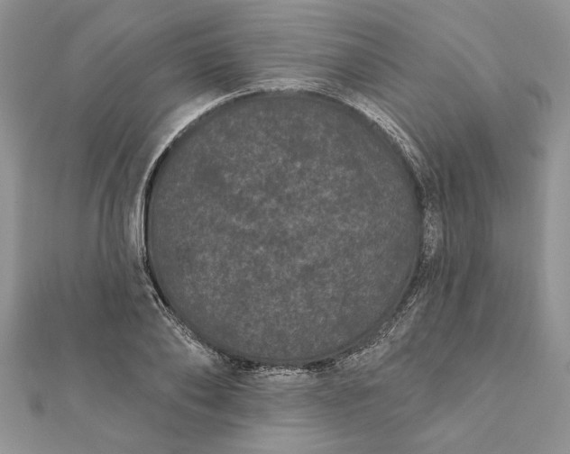 X0000112060886200908181155