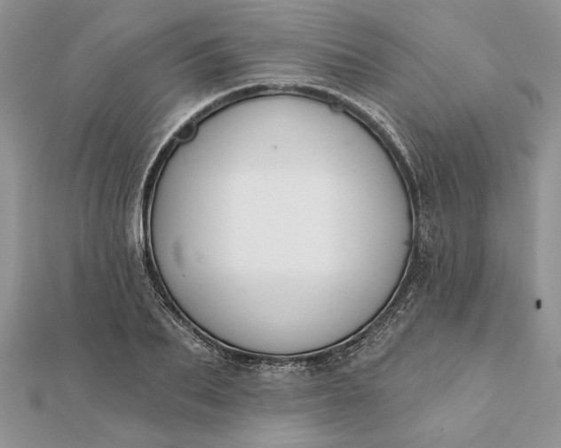 X0000112060887200908181155