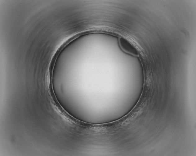 X0000112060888200908181155