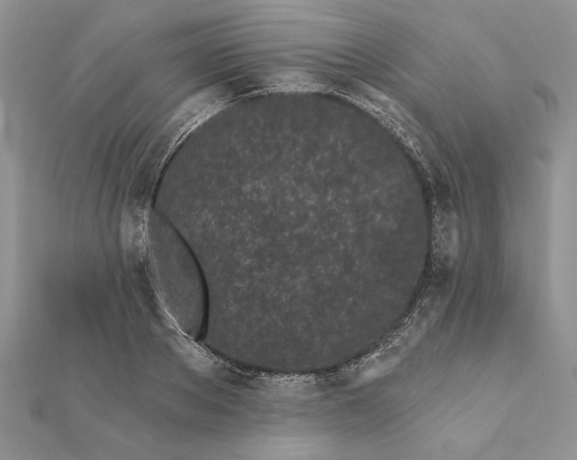 X0000112060889200908181155