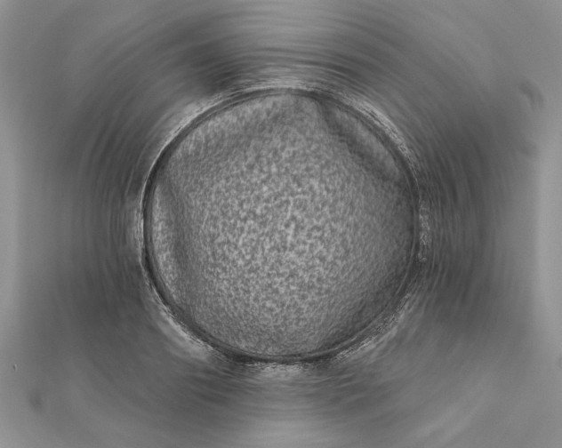 X0000112060890200908181155