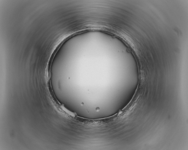 X0000112060891200908181155