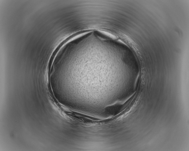 X0000112060892200908181155