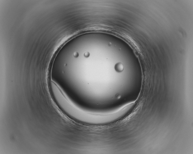 X0000112060893200908181155