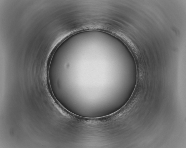 X0000112060894200908181155